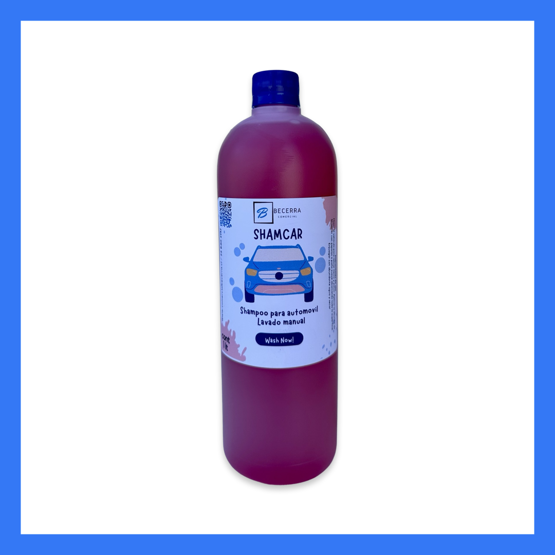Shampoo para Automóvil 1 LT