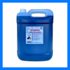 Shampoo Tunel Lavado Automático 10 LT