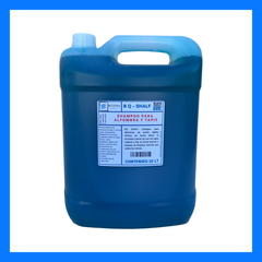 Shampoo para Alfombra y Tapiz 10 LT